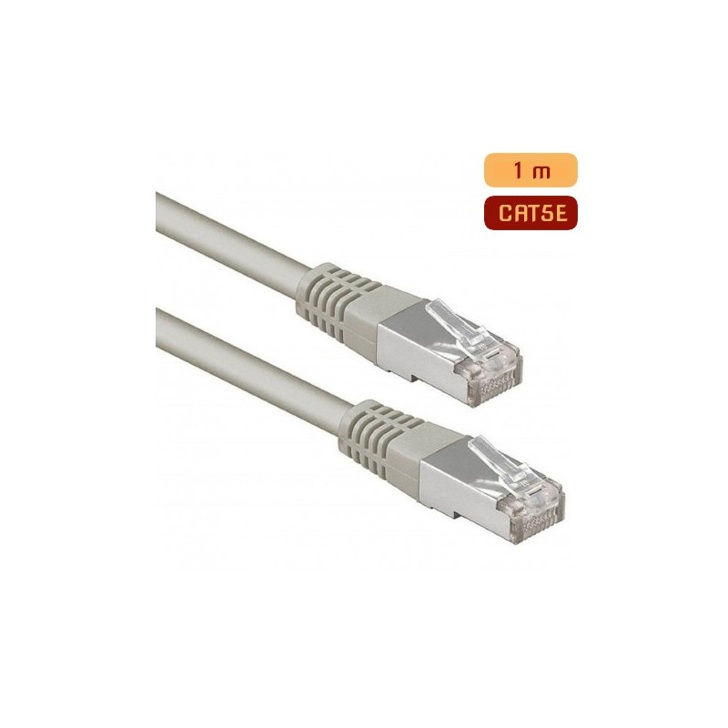 Cable Réseau UTP CAT 5E RJ45 1M - Gris
