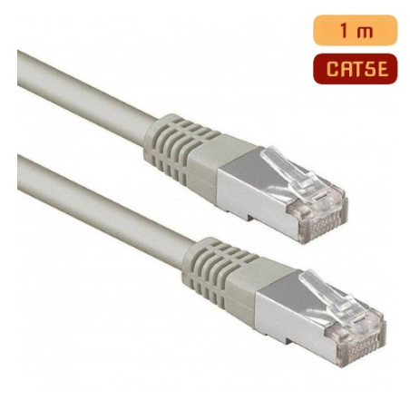 Cable Réseau UTP CAT 5E RJ45 1M - Gris