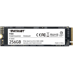 Disque SSD M.2 NVMe Patriot P300 / 256 Go