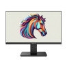 Ecran Gaming REDRAGON THUGGA II VA 22" FHD / 100Hz BM21V17