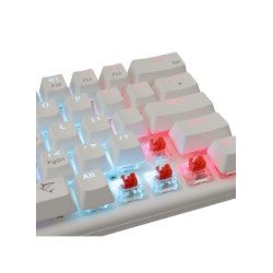Clavier Gaming Mécanique WHITE SHARK WAKIZASHI - Blanc