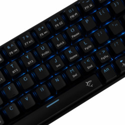 Clavier sans Fil / Bluetooth WHITE SHARK PL KAIKEN GK-003111 - Red Switch - Noir