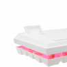 Clavier Mécanique BARACUDA DOLPHIN BGK-03211 - Blanc - Red Switch