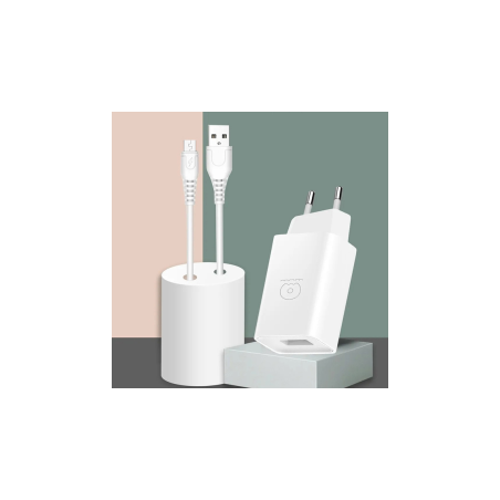 Chargeur Micro USB 2A WUW T47