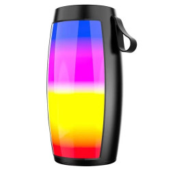 Haut Parleur Bluetooth ZQS-1202 RGB - Noir