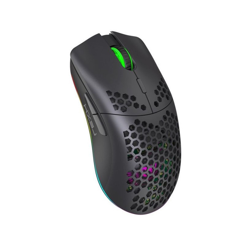 Souris Gaming sans Fil HXSJ T66 RGB - Noir