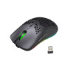 Souris Gaming sans Fil HXSJ T66 RGB - Noir