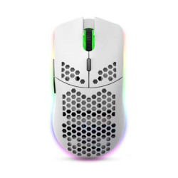 Souris Gaming sans Fil HXSJ T66 RGB - Noir
