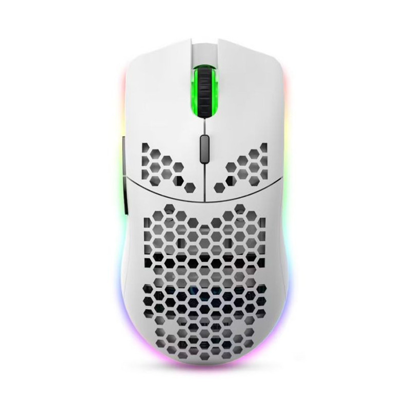 Souris Gaming sans Fil HXSJ T66 RGB - Noir