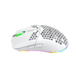 Souris Gaming sans Fil HXSJ T66 RGB - Noir