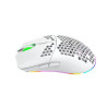 Souris Gaming sans Fil HXSJ T66 RGB - Noir