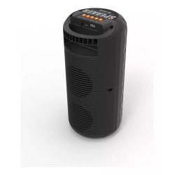 Haut Parleur Bluetooth - MP3 - Radio FM 12W - MS-3624BT
