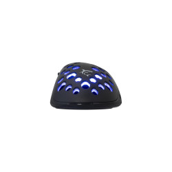 Souris Gaming WHITE SHARK AZRAEL GM-5013 - Noir