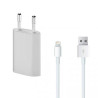 Chargeur iPhone 5 et Plus