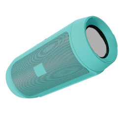 Enceinte Bluetooth Étanche CHARGE MINI 2+