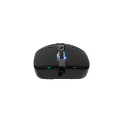Souris Gaming BARACUDA NAUTILUS BGM-011 - Noir