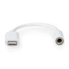 Adaptateur Lightning Male vers Jack Femelle